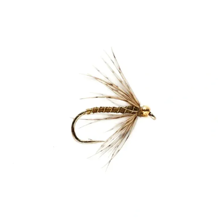 CJ Controller Olive - Your Premium Fishing Gear Store Rods Lines Baits Accessories^ Sale