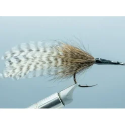 Cockroach - Your Premium Fishing Gear Store Rods Lines Baits Accessories^ Flash Sale