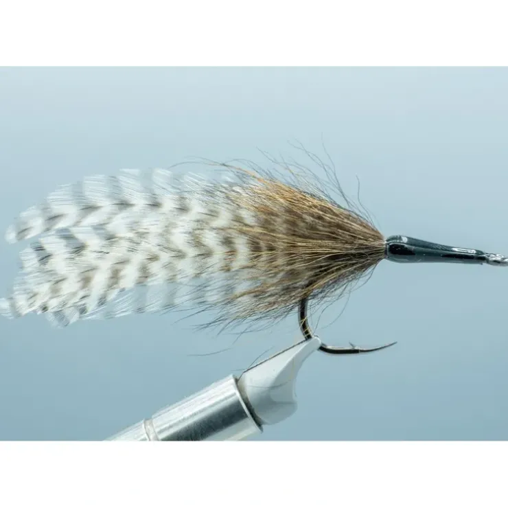 Cockroach - Your Premium Fishing Gear Store Rods Lines Baits Accessories^ Flash Sale
