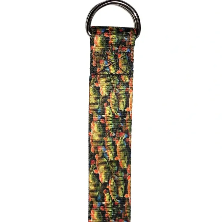 Cognito 48" Belt Peacock - Your Premium Fishing Gear Store Rods Lines Baits Accessories^ Shop