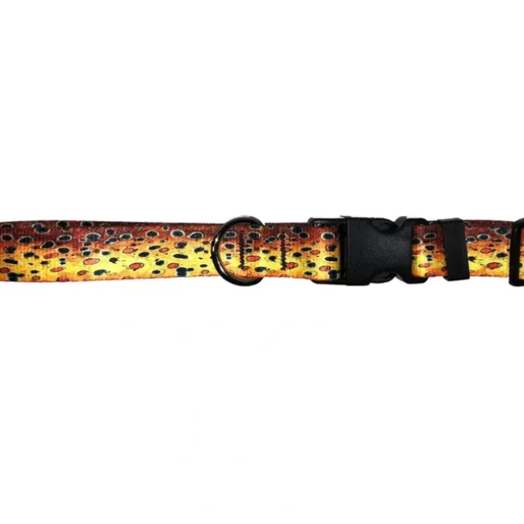 Cognito Dog Collar Brown Trout #2 - Your Premium Fishing Gear Store Rods Lines Baits Accessories^ Best Sale
