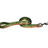 Cognito 6' Leash Brook Trout #2 - Your Premium Fishing Gear Store Rods Lines Baits Accessories^ Online