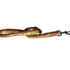 Cognito 6' Leash Brown Trout #2 - Your Premium Fishing Gear Store Rods Lines Baits Accessories^ Fashion