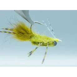 Colby's Casa Blanca Raghead Olive - Your Premium Fishing Gear Store Rods Lines Baits Accessories^ Best