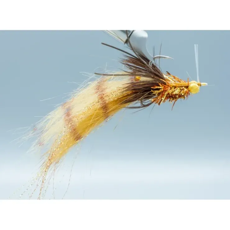 Colby's Gulf Coast Corona Toad #2/0 - Your Premium Fishing Gear Store Rods Lines Baits Accessories^ Hot