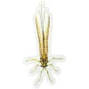 Conner Art Studio Brown Drake Sticker - Your Premium Fishing Gear Store Rods Lines Baits Accessories^ Discount
