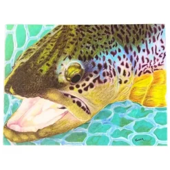 Conner Art Studio Brown Trout Sticker - Your Premium Fishing Gear Store Rods Lines Baits Accessories^ Outlet