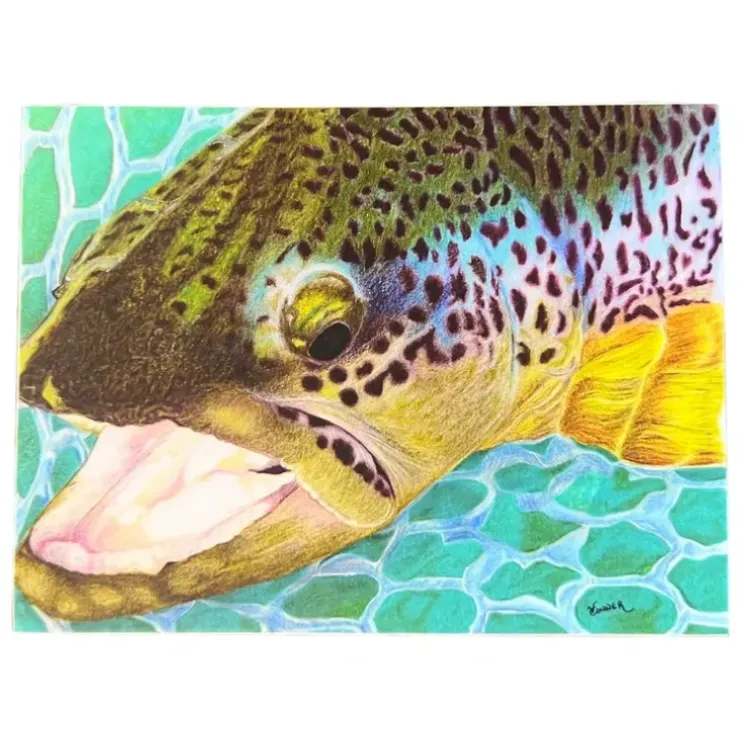Conner Art Studio Brown Trout Sticker - Your Premium Fishing Gear Store Rods Lines Baits Accessories^ Outlet