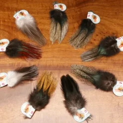 Coq De Leon - Your Premium Fishing Gear Store Rods Lines Baits Accessories^ Best