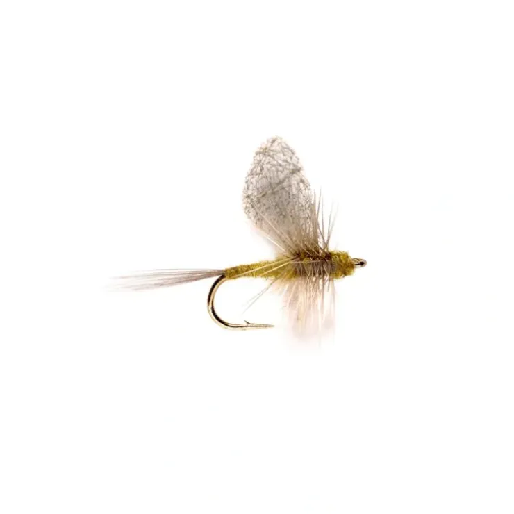 Crippled Dun BWO - Your Premium Fishing Gear Store Rods Lines Baits Accessories^ Clearance