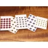 3D Adhesive Holo Eyes - Your Premium Fishing Gear Store Rods Lines Baits Accessories^ Cheap