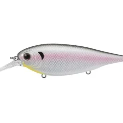 Daiwa Evergreen X-Over Shad Crankbaits - Your Premium Fishing Gear Store Rods Lines Baits Accessories^ Fashion