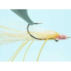 Delektable Boneyard Xtreme Tan #6 - Your Premium Fishing Gear Store Rods Lines Baits Accessories^ Best