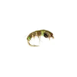 Depth Charge Czech Mate Olive - Your Premium Fishing Gear Store Rods Lines Baits Accessories^ Store