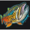 DeYoung Brown Rising Color Sticker - Your Premium Fishing Gear Store Rods Lines Baits Accessories^ Clearance