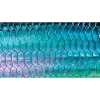 DeYoung Tarpon Flank Emerald Canvas Print - Your Premium Fishing Gear Store Rods Lines Baits Accessories^ Best