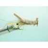 Disco Shrimp Chicone Tan #4 - Your Premium Fishing Gear Store Rods Lines Baits Accessories^ Shop