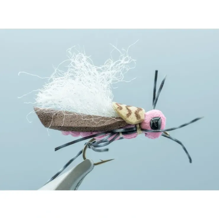 Donkey Kong Hopper Pink - Your Premium Fishing Gear Store Rods Lines Baits Accessories^ Outlet