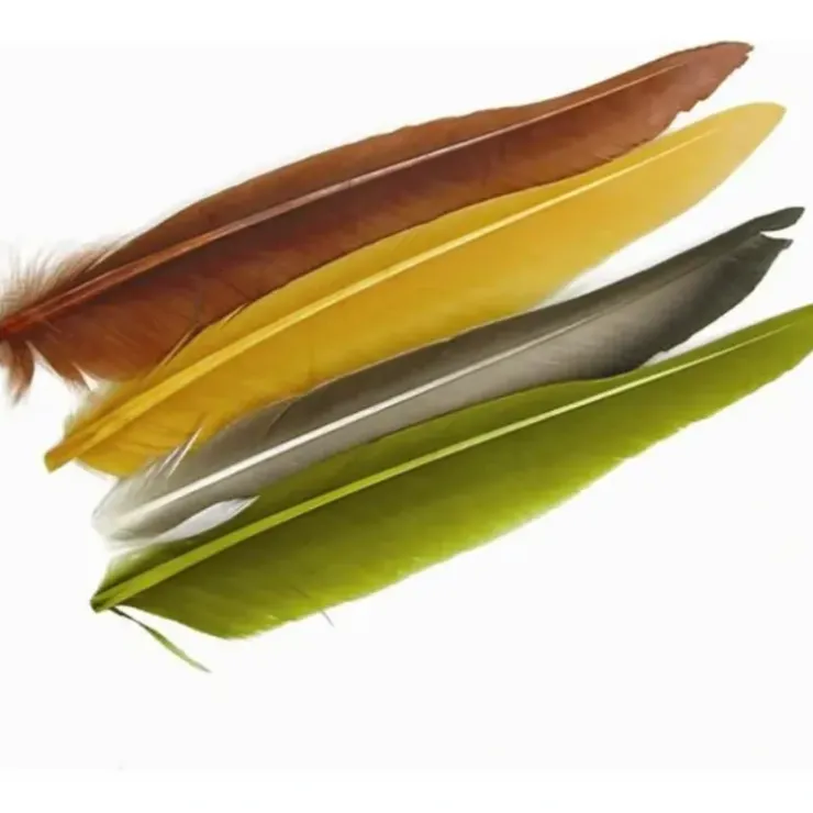 DUCK QUILL - Your Premium Fishing Gear Store Rods Lines Baits Accessories^ Best