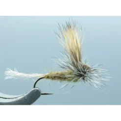 E/C Caddis Olive #16 - Your Premium Fishing Gear Store Rods Lines Baits Accessories^ Outlet