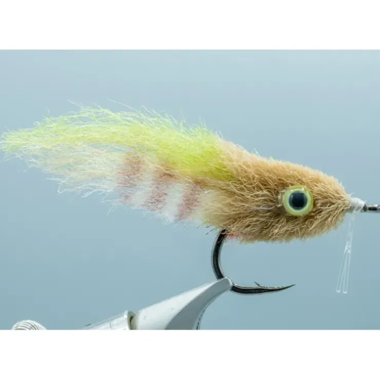 Everglades Special - #1/0 - Your Premium Fishing Gear Store Rods Lines Baits Accessories^ Store