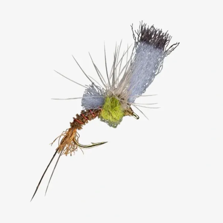Film Critic BWO - Your Premium Fishing Gear Store Rods Lines Baits Accessories^ New