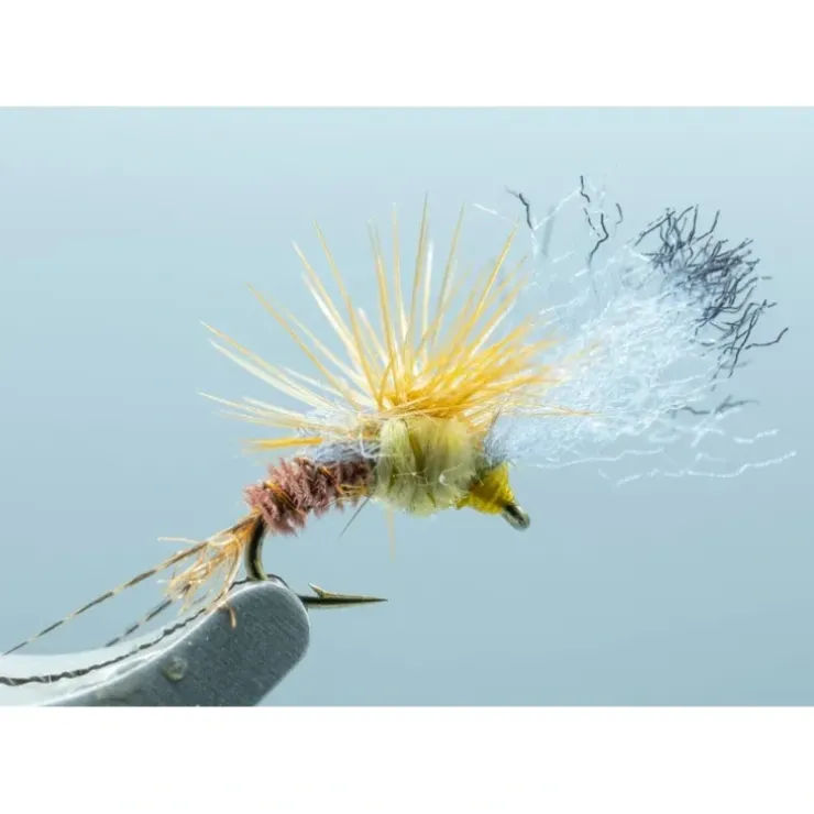 Film Critic PMD #18 - Your Premium Fishing Gear Store Rods Lines Baits Accessories^ Best Sale