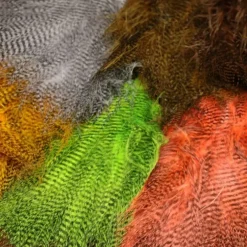 Fine Barred Buggerbou - Your Premium Fishing Gear Store Rods Lines Baits Accessories^ Online