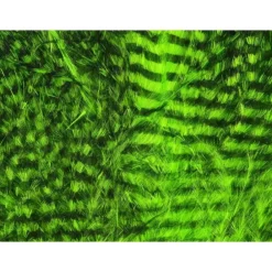 Fine Black Barred Marabou Feathers - Your Premium Fishing Gear Store Rods Lines Baits Accessories^ Cheap