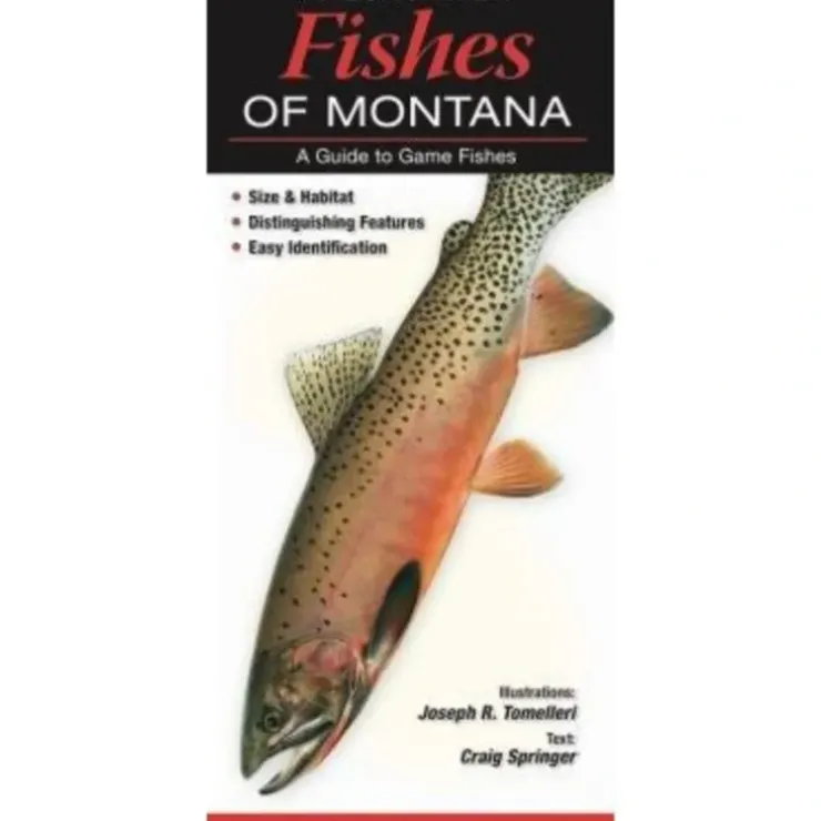 Fishes Quick Reference Guides - Your Premium Fishing Gear Store Rods Lines Baits Accessories^ Best Sale