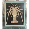 Florida Spiny Lobster License Plate Art - Your Premium Fishing Gear Store Rods Lines Baits Accessories^ Fashion