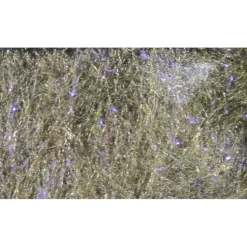 Fly Fish Food's Bruiser Blend Dubbing - Your Premium Fishing Gear Store Rods Lines Baits Accessories^ Best Sale