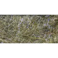 Fly Fish Food's Jr. Bruiser Blend - Your Premium Fishing Gear Store Rods Lines Baits Accessories^ Best