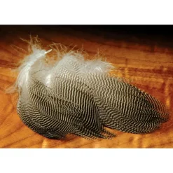 Gadwall Feathers - Your Premium Fishing Gear Store Rods Lines Baits Accessories^ Sale