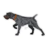 German Wiredhaired Pointer Sticker - Your Premium Fishing Gear Store Rods Lines Baits Accessories^ New