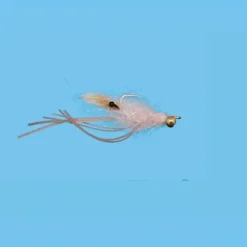 Ghost Rider - Your Premium Fishing Gear Store Rods Lines Baits Accessories^ Cheap