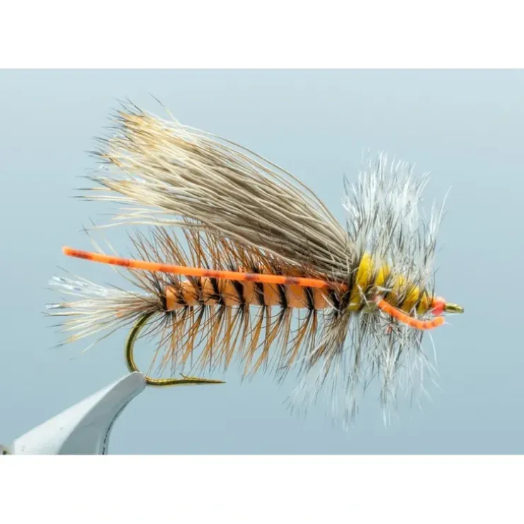 Giant Foam Stimmy Orange W/RL - Your Premium Fishing Gear Store Rods Lines Baits Accessories^ Store