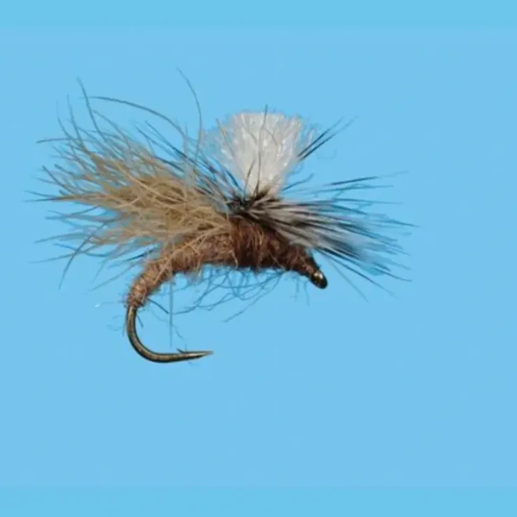Gil's Snow Shoe Caddis - Your Premium Fishing Gear Store Rods Lines Baits Accessories^ Best