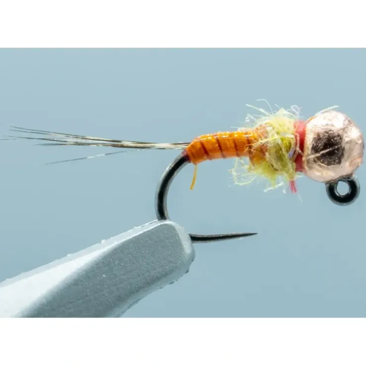 Ginger Snap PMD #18 - Your Premium Fishing Gear Store Rods Lines Baits Accessories^ Cheap