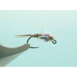 Gold BH 2.8 French Dip Purple #14 - Your Premium Fishing Gear Store Rods Lines Baits Accessories^ Sale
