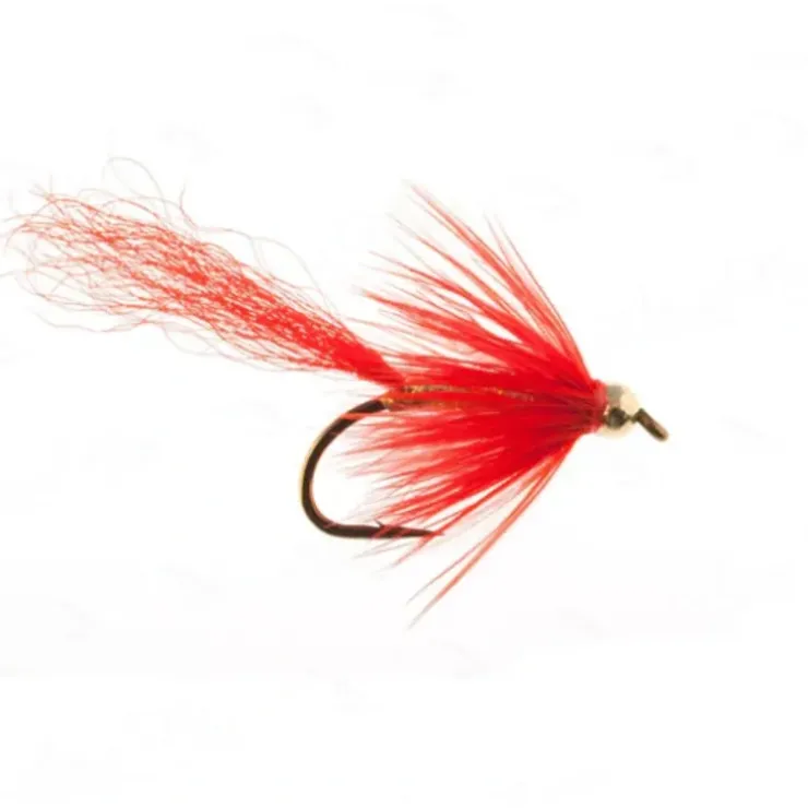 Gold Comet - Your Premium Fishing Gear Store Rods Lines Baits Accessories^ Cheap