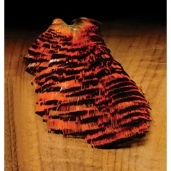 Golden Pheasant - Your Premium Fishing Gear Store Rods Lines Baits Accessories^ Clearance
