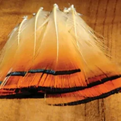 Golden Pheasant Tippet - Your Premium Fishing Gear Store Rods Lines Baits Accessories^ Online