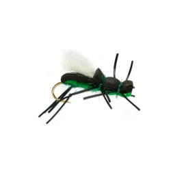 Gordo Alberto Black & Green - Your Premium Fishing Gear Store Rods Lines Baits Accessories^ Shop
