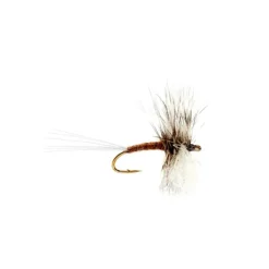 Gray Drake Hackle Spinner - Your Premium Fishing Gear Store Rods Lines Baits Accessories^ Best