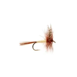 Gray Fox - Your Premium Fishing Gear Store Rods Lines Baits Accessories^ Store