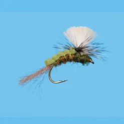 Green Drake Sir Francis - Your Premium Fishing Gear Store Rods Lines Baits Accessories^ New