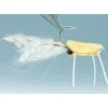 Gringo Crab Tan #2 - Your Premium Fishing Gear Store Rods Lines Baits Accessories^ Fashion