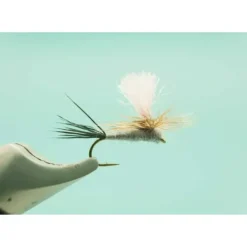 Guide Chute Adams #14 - Your Premium Fishing Gear Store Rods Lines Baits Accessories^ Hot