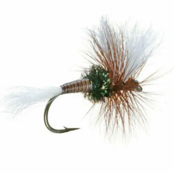 H&L Variant - Your Premium Fishing Gear Store Rods Lines Baits Accessories^ Fashion